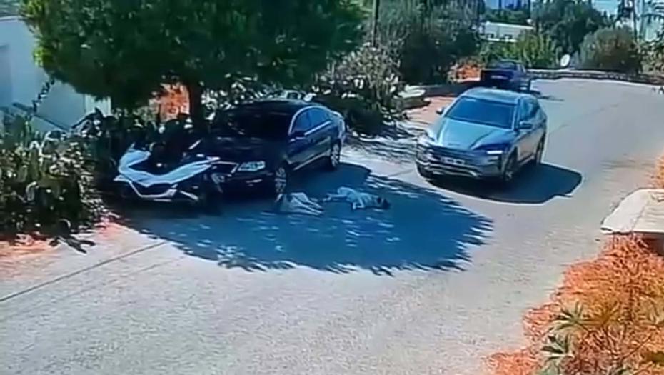 Muğla'da Otomobilin Köpeklere Çarparak Yoluna Devam Etmesi Tepki Çekti