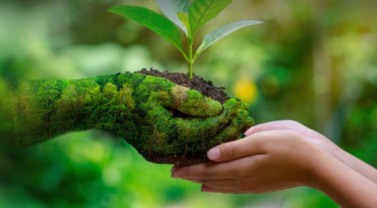 Çevre Danışmanlık Firması Seçimi ve ÇED Raporunun Önemi