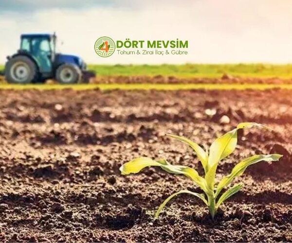 Dört Mevsim Tarım ile Tarımsal Üretimde Doğru Fide Seçimi