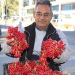 Halkın “gençlik iksiri” dediği meyve tezgâhta doğal olarak yetişti!