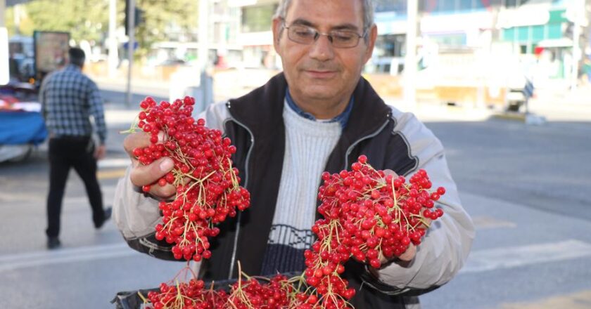 Halkın “gençlik iksiri” dediği meyve tezgâhta doğal olarak yetişti!