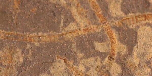 3,3 milyar yıllık taşlarda eski yaşam kanıtları keşfedildi