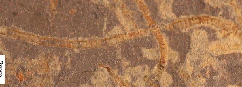 3,3 milyar yıllık taşlarda eski yaşam kanıtları keşfedildi