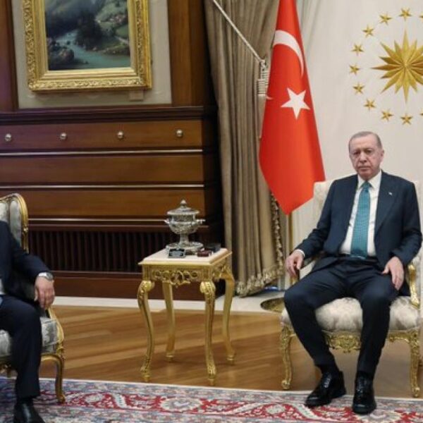 Cumhurbaşkanı Erdoğan, HÜDA PAR Genel Başkanı Yapıcıoğlu'nu kabul etti