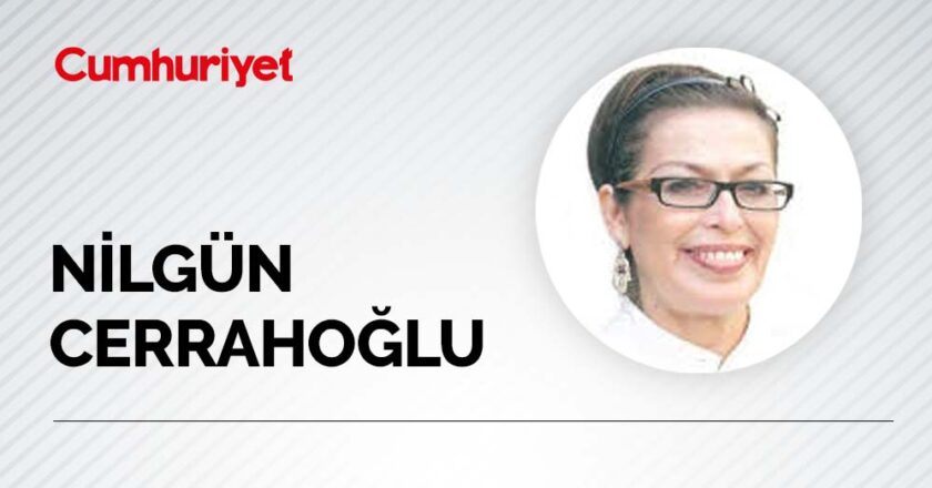Nilgün Cerrahoğlu yazdı : Kasım notları